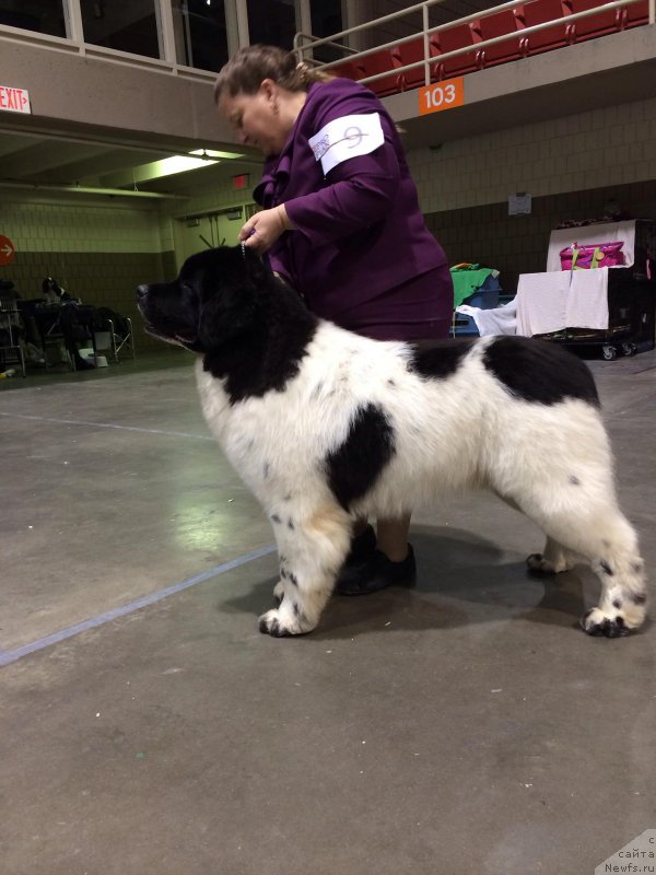 Фотография № 173860