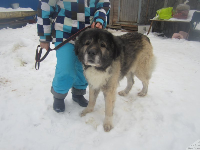 Фото: Наталья Смазчикова