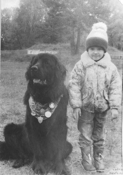 Фото: ньюфаундленд Альдербай