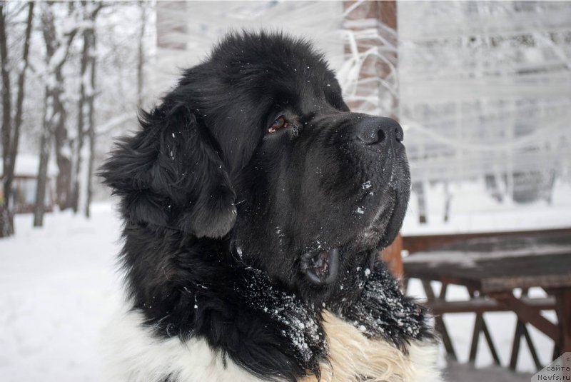 Фотография № 173881