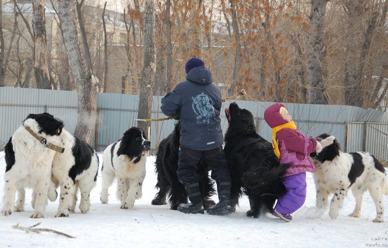 Фотография № 173896