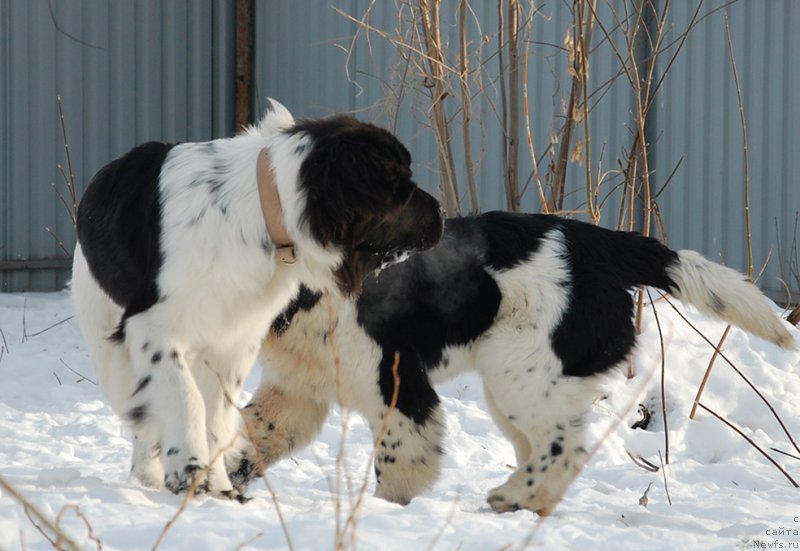 Фотография № 173901