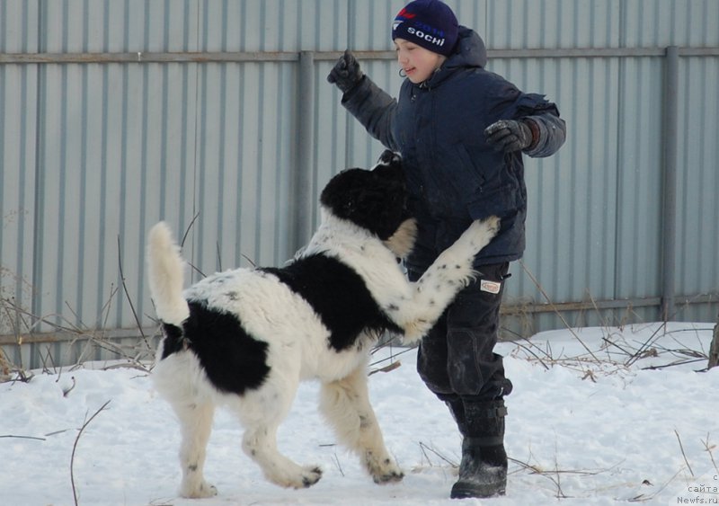 Фотография № 173905