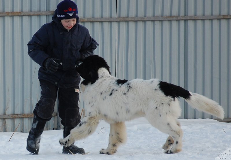 Фотография № 173906