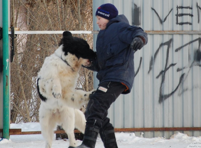 Фотография № 173908