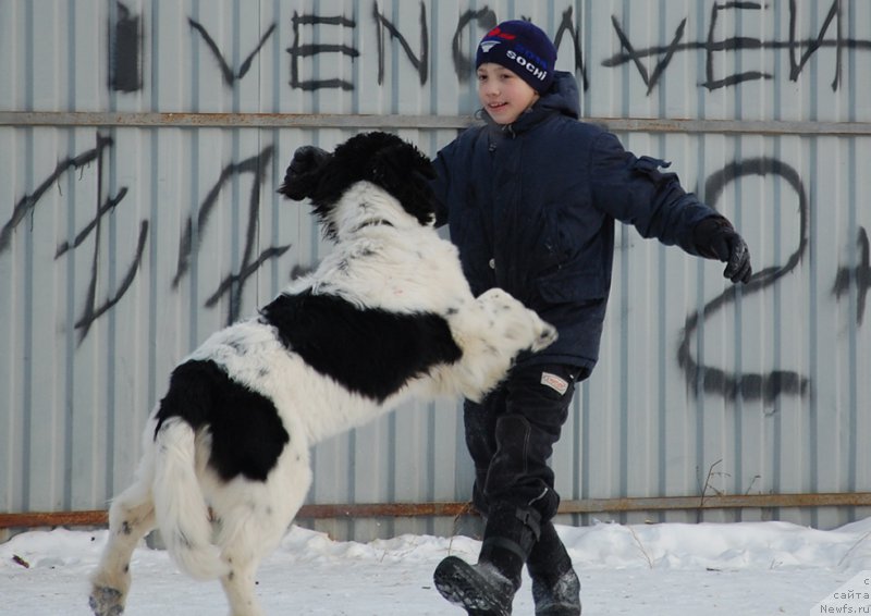 Фотография № 173909