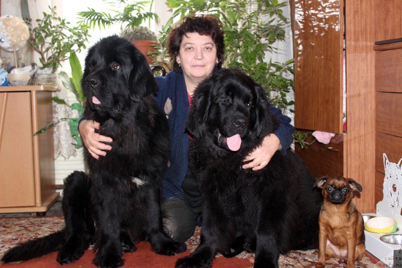 Фотография № 173918