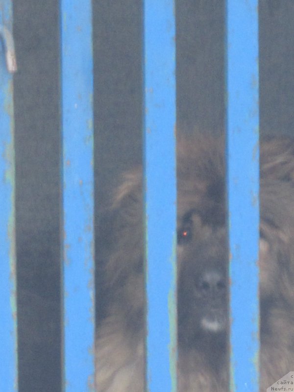 Фотография № 173945