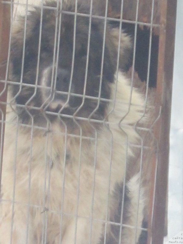 Фотография № 173947