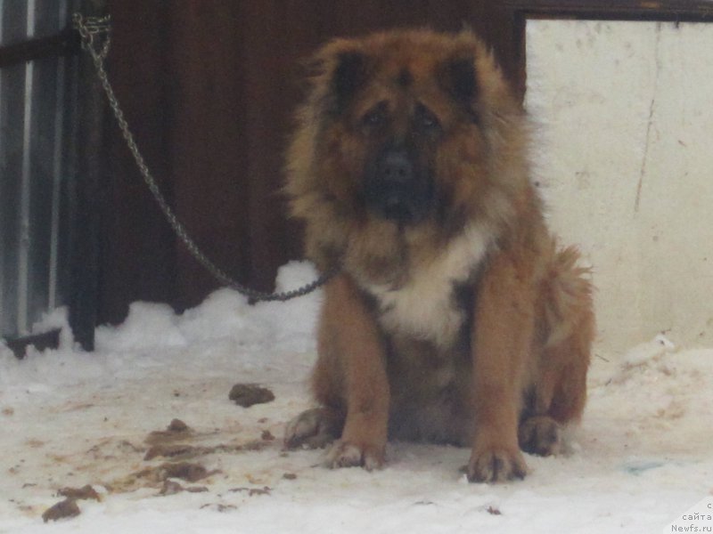 Фотография № 173948