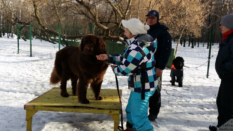 Фотография № 173949