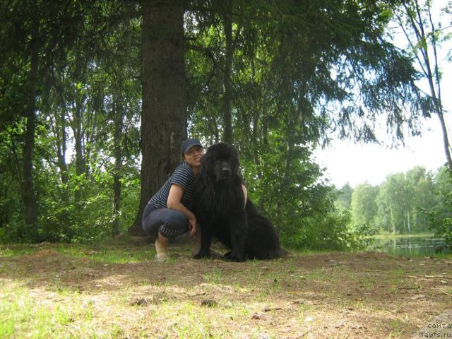 Фото: Александра Фетисова, Сент Джонс Лесная Фея