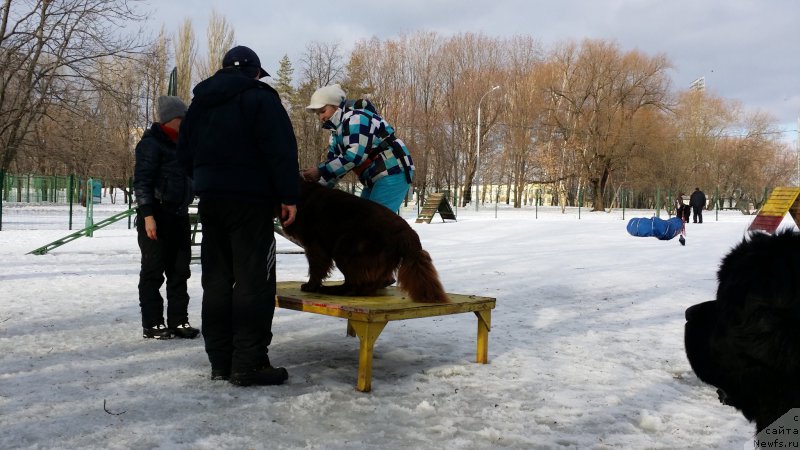 Фотография № 173951