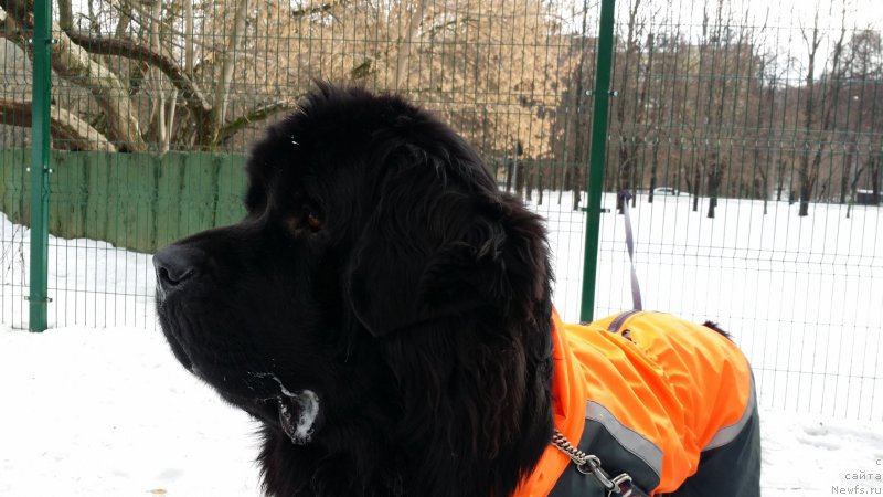 Фотография № 173952