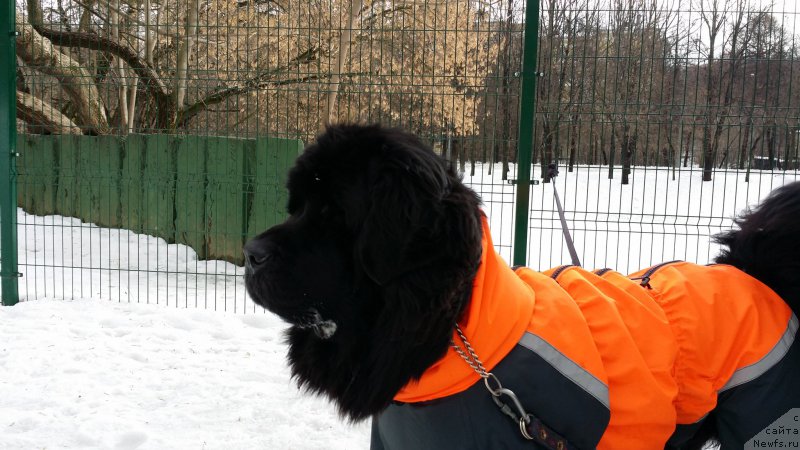 Фотография № 173954