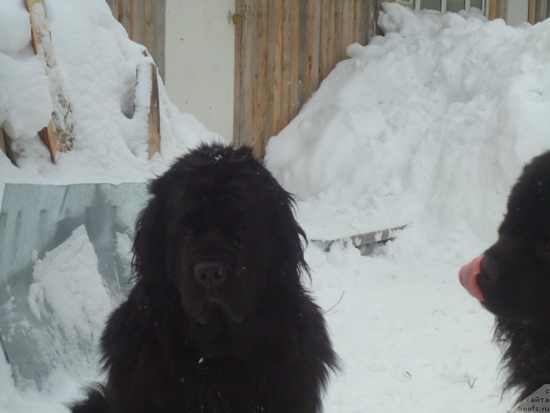 Фотография № 173979