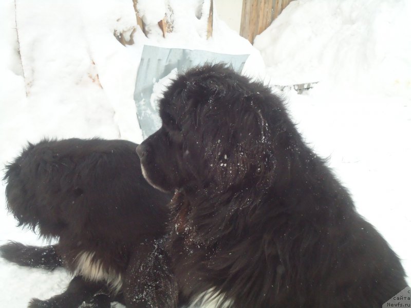 Фотография № 173981