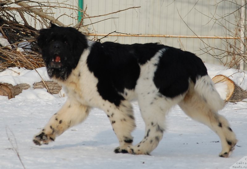 Фотография № 173997