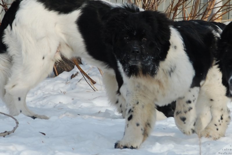 Фотография № 173998