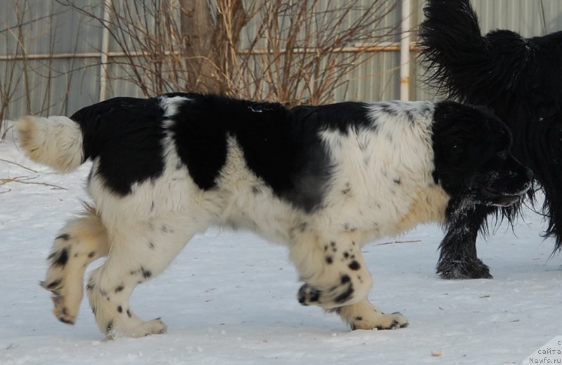 Фотография № 173999