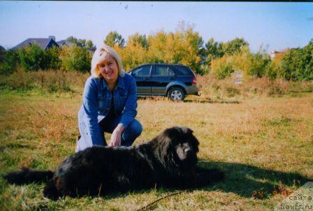 Фото: ньюфаундленд Лесная Сказка Руслана, Елена Степанова