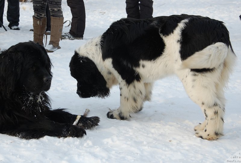 Фотография № 174000