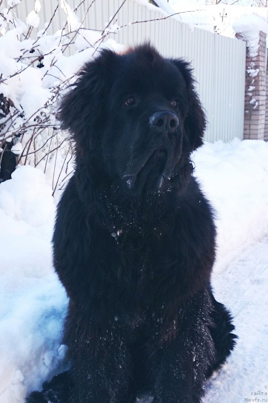 Фотография № 174025