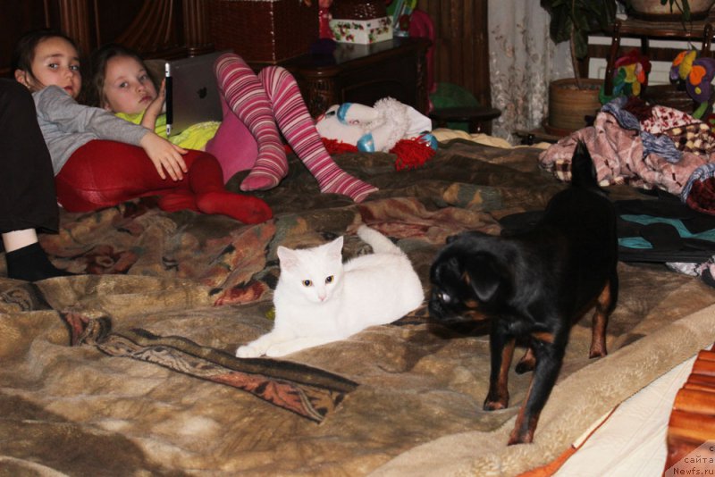 Фотография № 174031