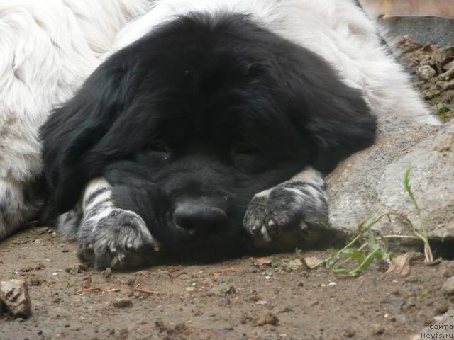 Фотография № 17404