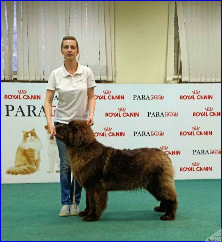 Фотография № 174047