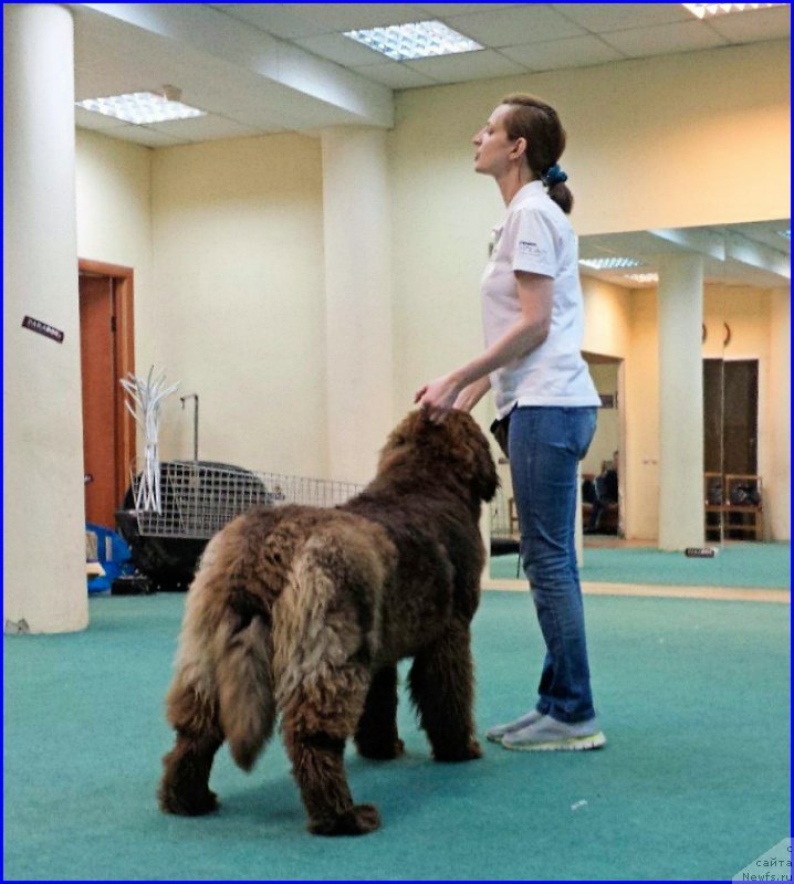 Фотография № 174048