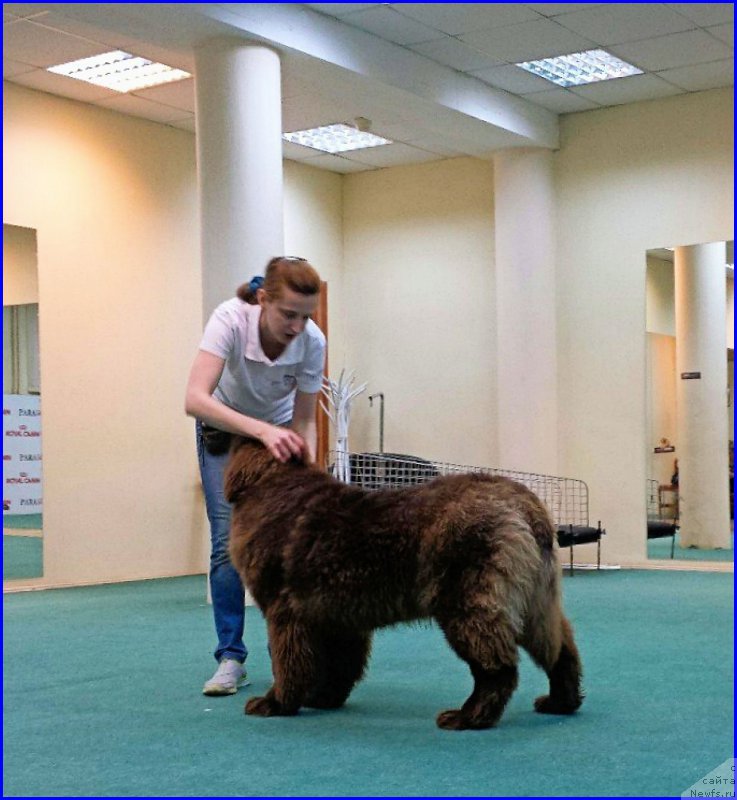 Фотография № 174049