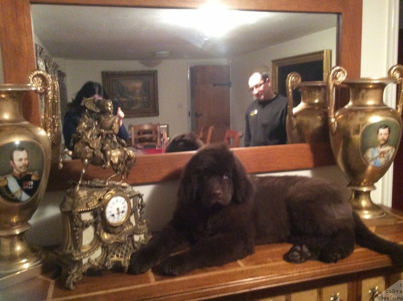 Фотография № 174050