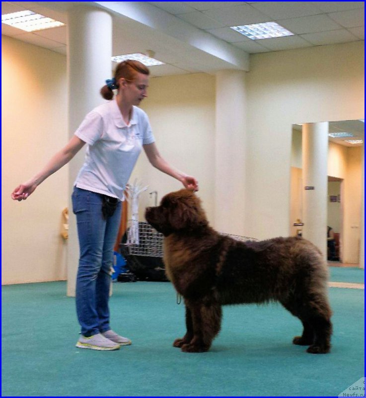 Фотография № 174052