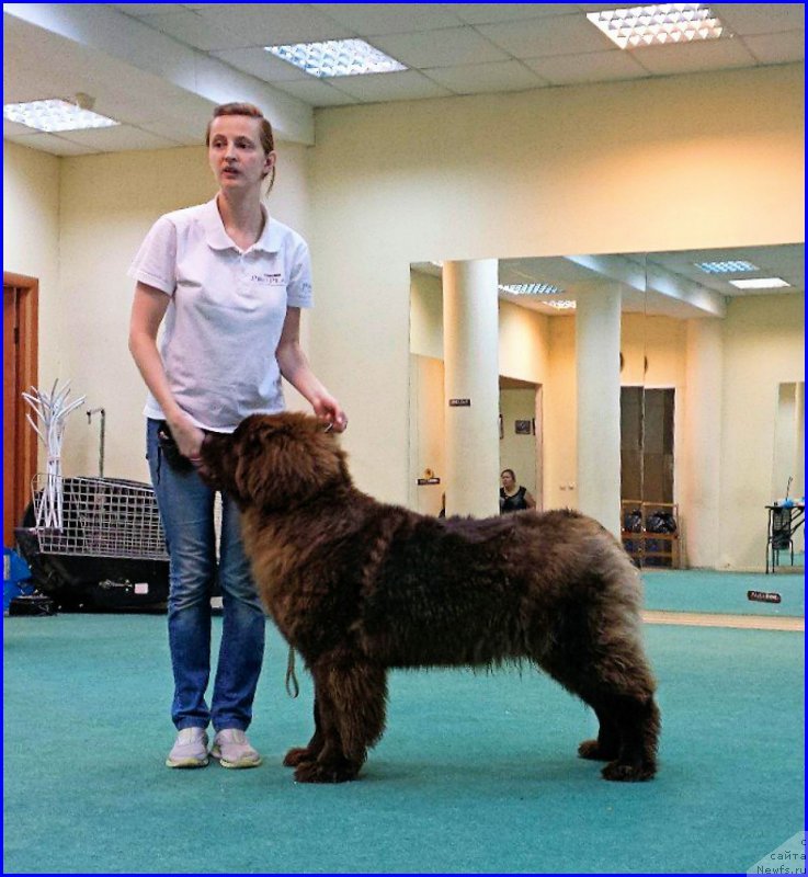 Фотография № 174053