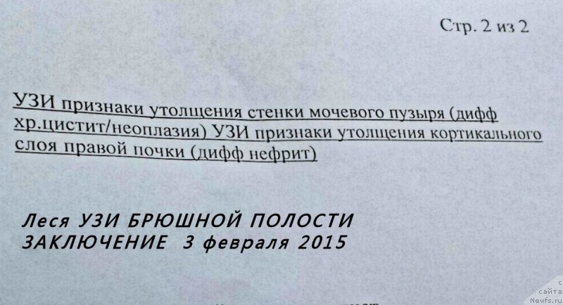 Фотография № 174058