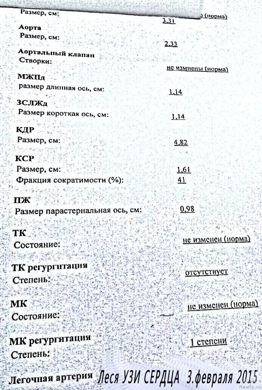 Фото: ньюфаундленд Валенсия Черная Жемчужина