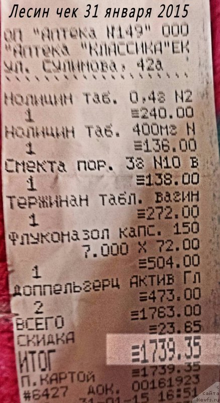 Фото: ньюфаундленд Валенсия Черная Жемчужина