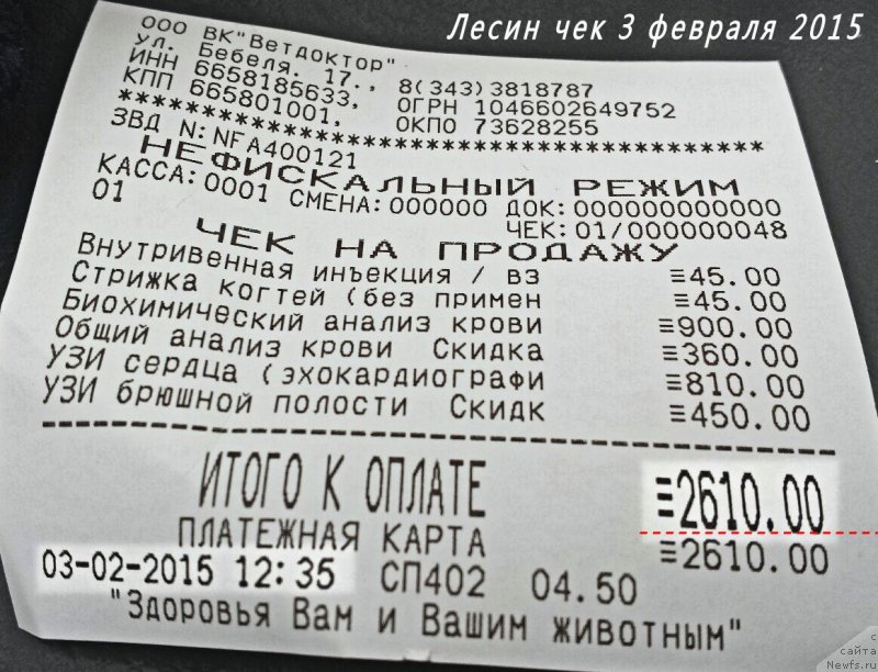 Фотография № 174069