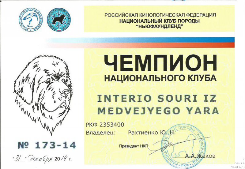 Фото: ньюфаундленд Интерио Соури из Медвежьего Яра (Interio Souri iz Medvejyego Yara), Юрий Рахтиенко