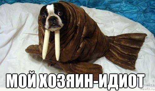 Фото: Сергей Жуков