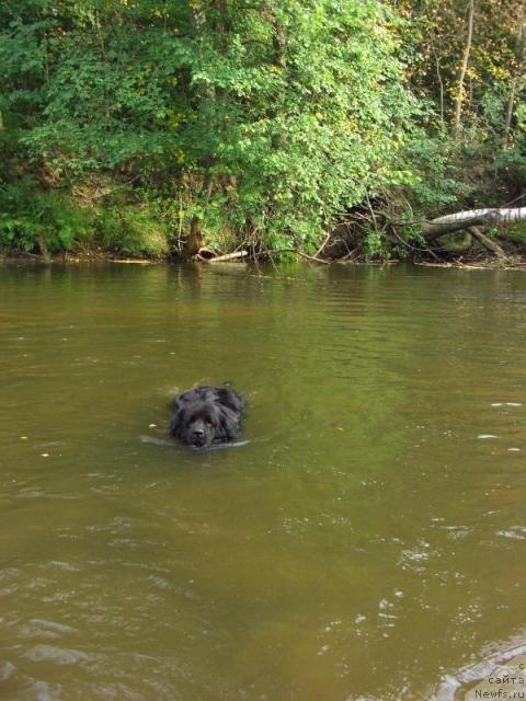 Фотография № 17411