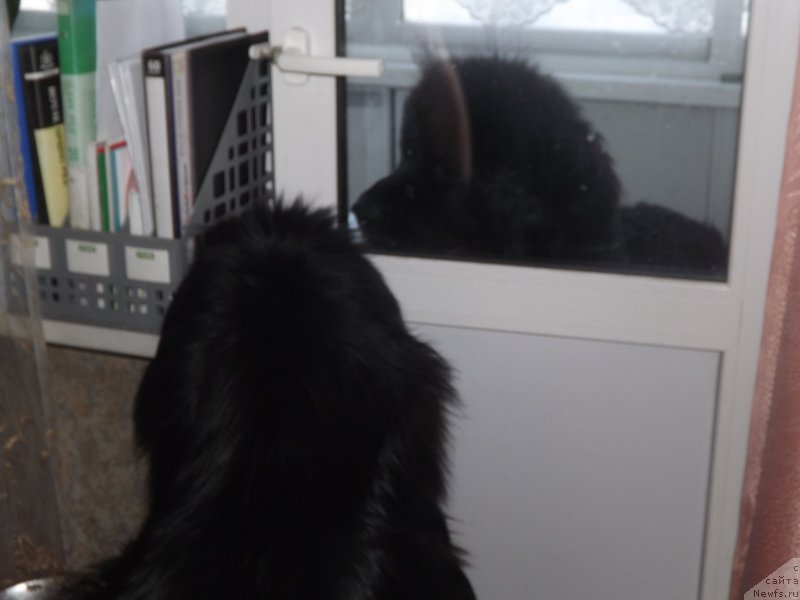 Фото: [d11642] [d12912]