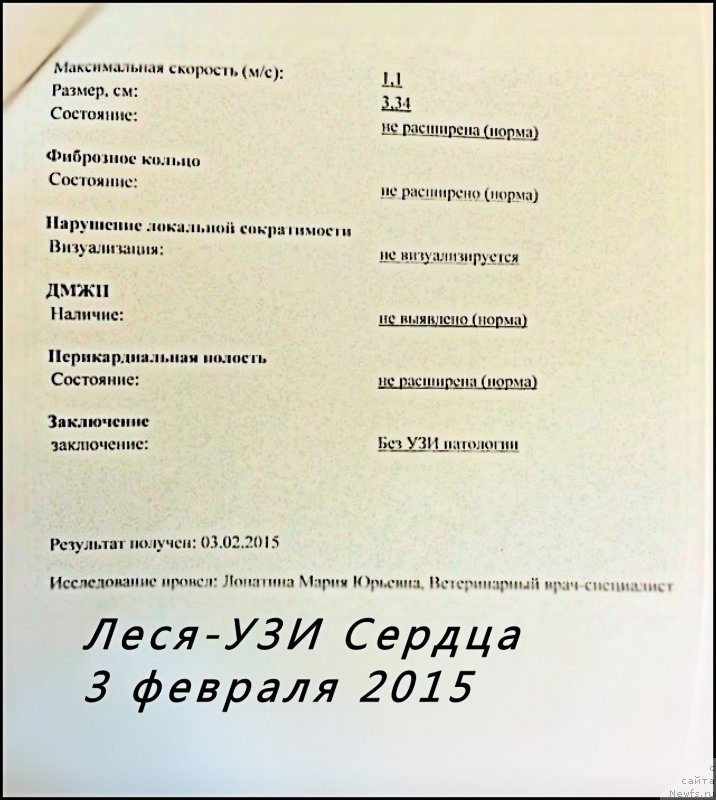 Фотография № 174122