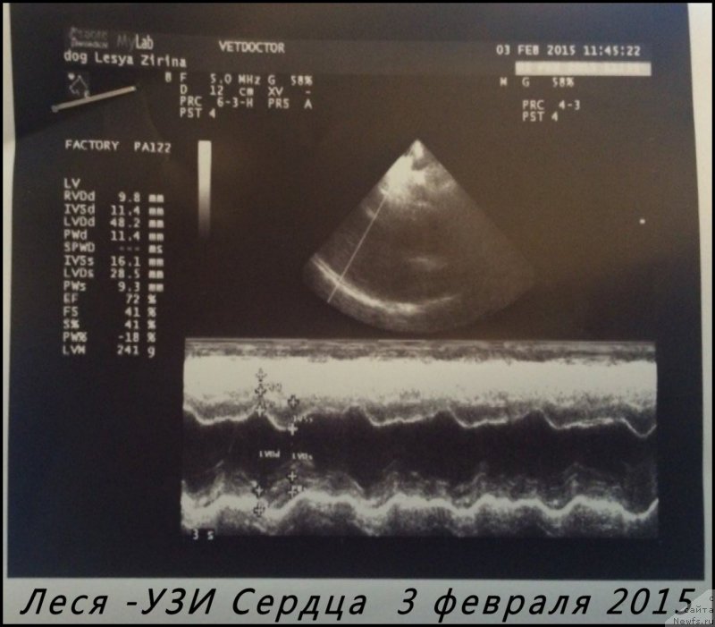 Фотография № 174123