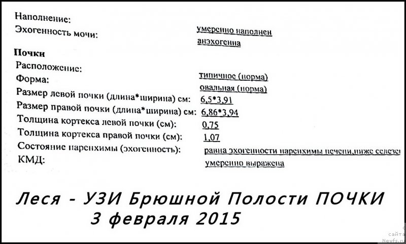 Фотография № 174124