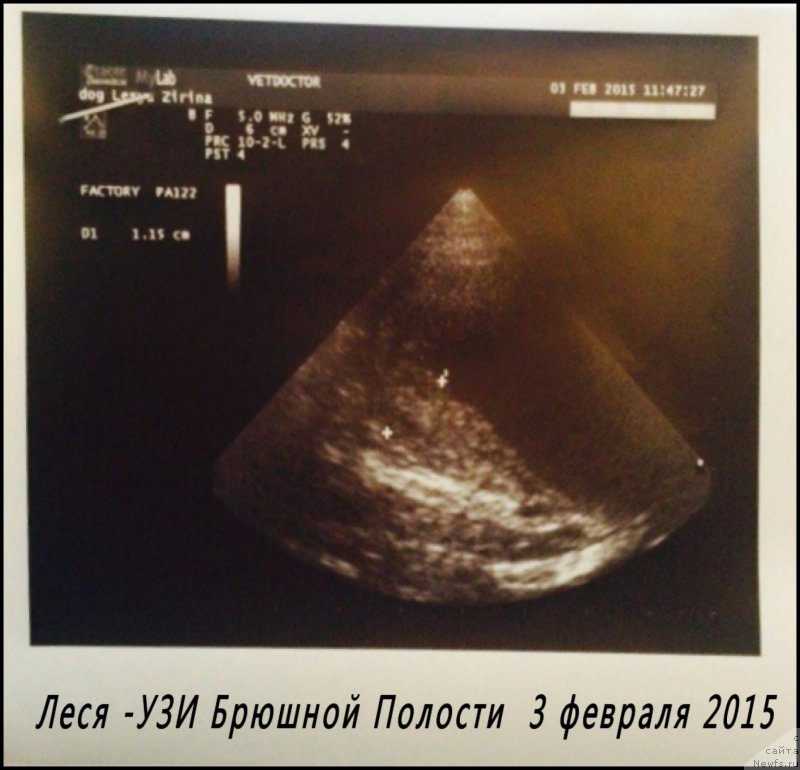 Фотография № 174125