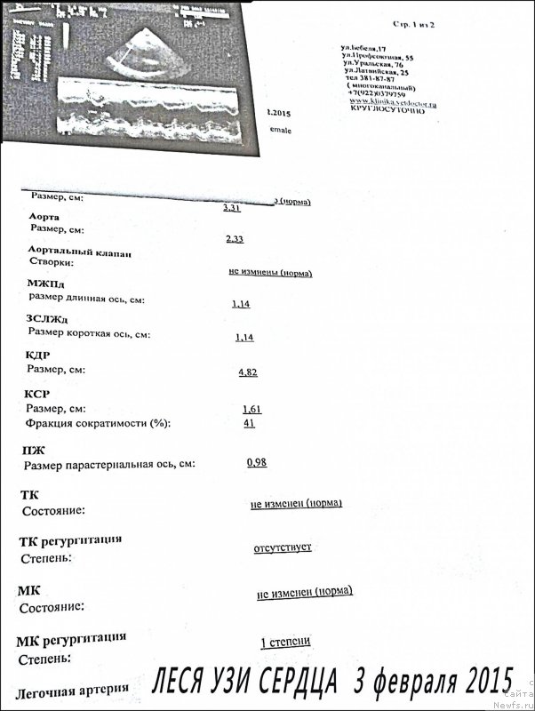 Фото: ньюфаундленд Валенсия Черная Жемчужина