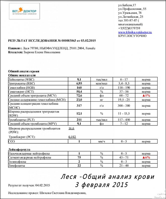 Фотография № 174130