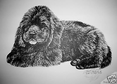 Фотография № 174132